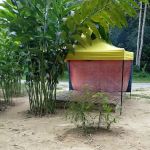 Sungai amaralep