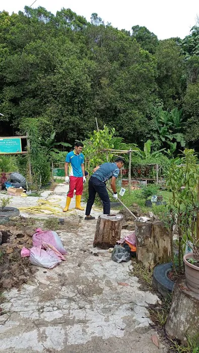 OSeM SEJAHTERA Herbs & Botanical Garden Picture 1
