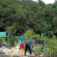 OSeM SEJAHTERA Herbs & Botanical Garden ico