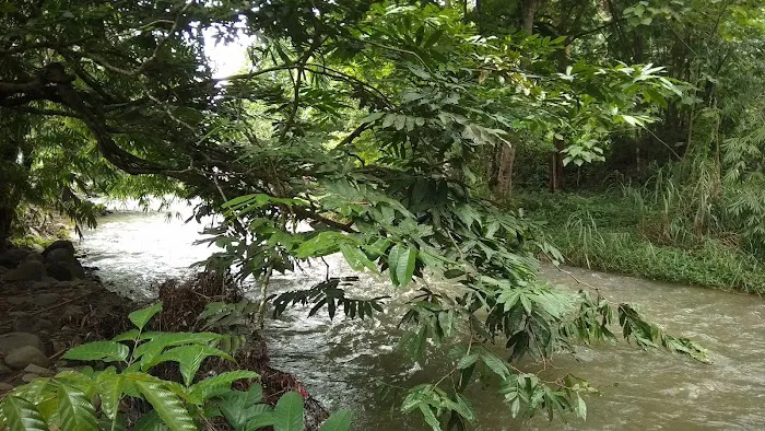 Tanjung Pulau Santap Picture 6