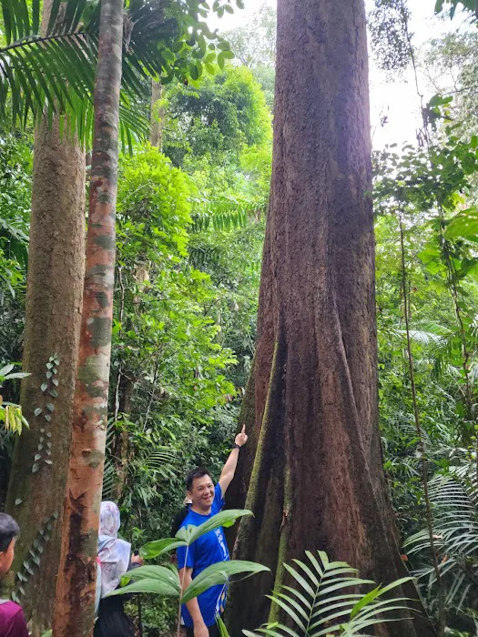Ulu Tampik Waterfall Janda Baik Picture 3