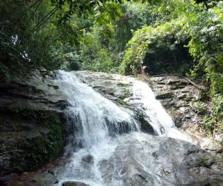 Ulu Tampik Waterfall Janda Baik