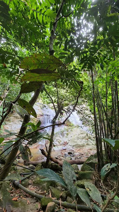 Ulu Tampik Waterfall Janda Baik Picture 7