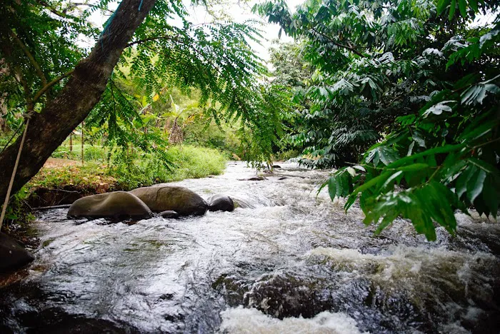Rakit buluh river side Picture 8