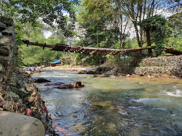 Asli Rekreasi Picture 3