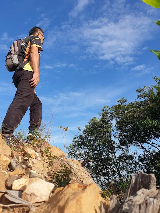 Pokok Viral Picture 1