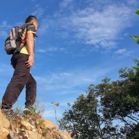 Pokok Viral ico