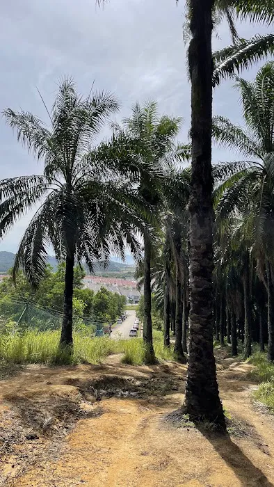 Bukit Cherakah Trailhead Picture 6