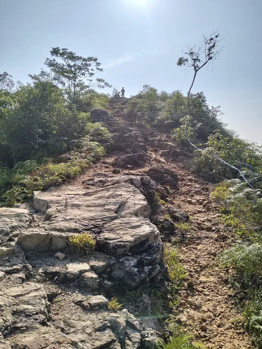 Bukit Cherakah Trailhead Picture 7