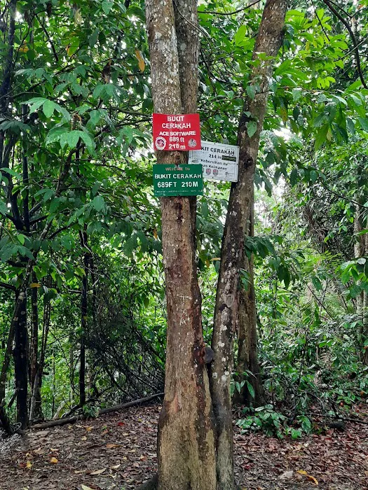 Bukit Cherakah Trailhead Picture 1