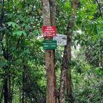 Bukit Cherakah Trailhead