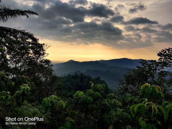Bukit Cherakah Trailhead Picture 9