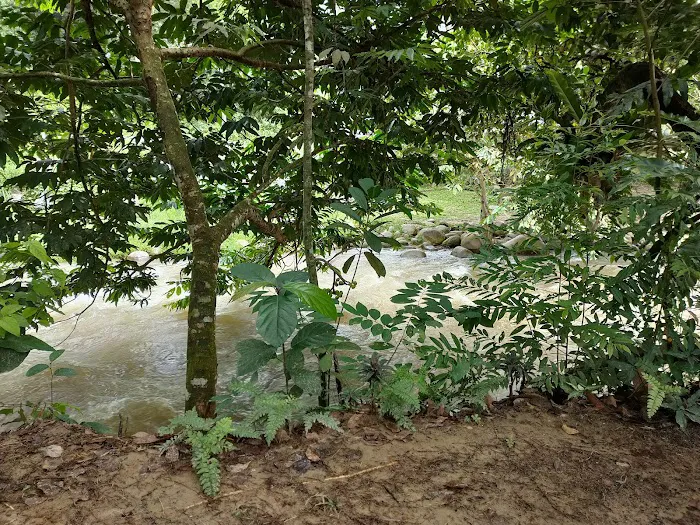 Santai D' Manggis Picture 9