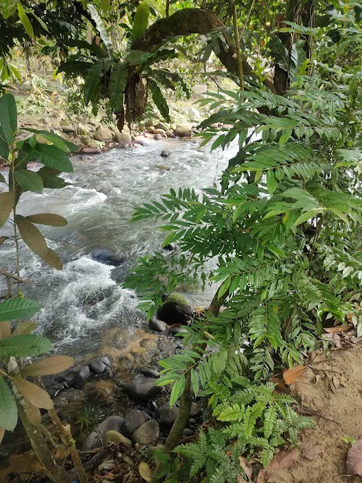 Santai D' Manggis Picture 10