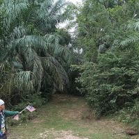 Bukit Mayong Trig Station ico