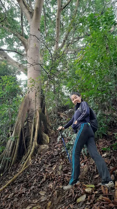 Bukit Mayong Trig Station Picture 8