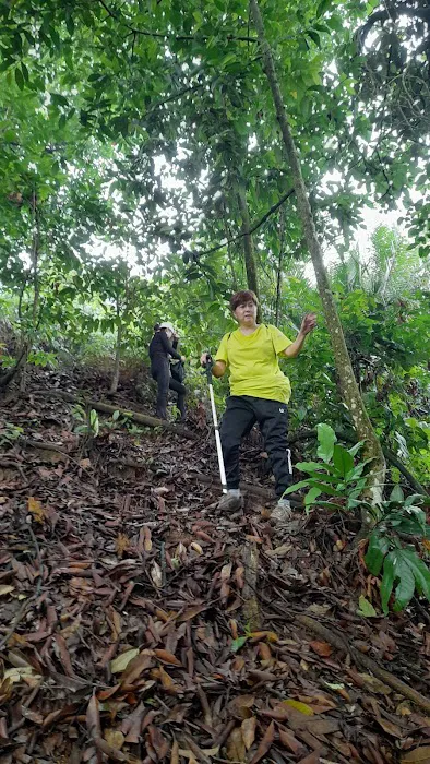 Bukit Mayong Trig Station Picture 7