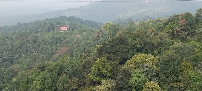 Bukit Tower Trailhead Picture 4
