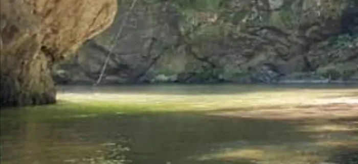 Lata Berungut Picture 9