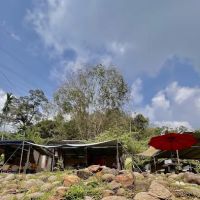 Pondok Along Mie ico