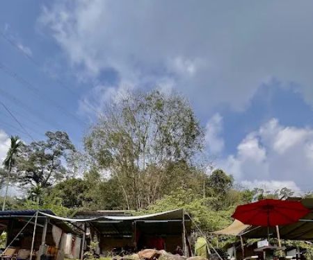 Pondok Along Mie