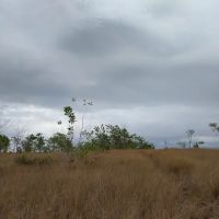 Bukit rumput ico