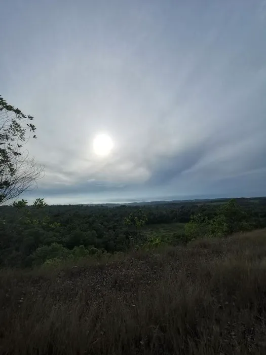 Bukit rumput Picture 8