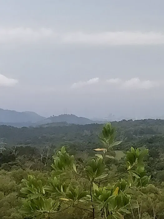 Bukit rumput Picture 10