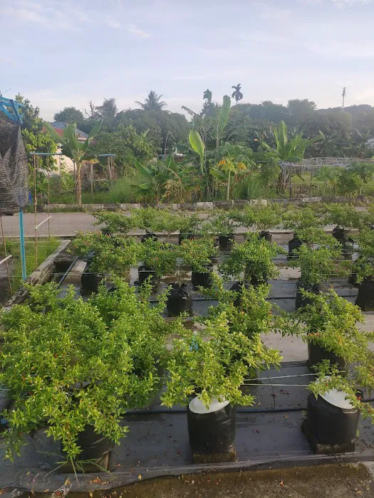 Kebun Komuniti Taman Paya Jaras Permai Picture 1
