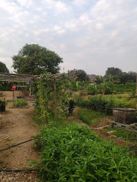 Kebun Komuniti Taman Paya Jaras Permai Picture 6