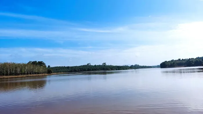 Beautiful swamp of Paya Ladang Picture 2