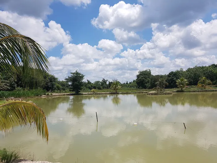 Taman Rekreasi Wadi Al- Amin (Kolam Tahfiz Berhala Gantang) Picture 9