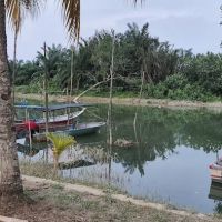 Bukit Belimbing Fireflies Park ico