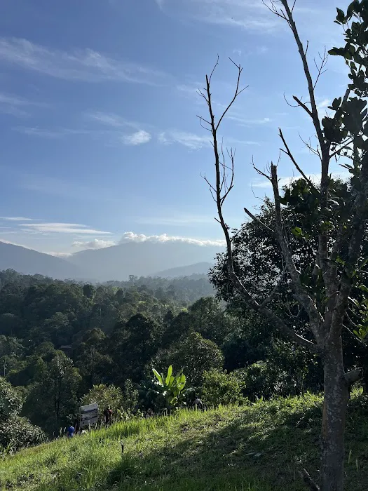 Kemensah Hiking Trailhead Picture 1
