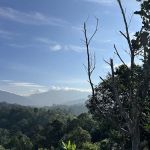 Kemensah Hiking Trailhead