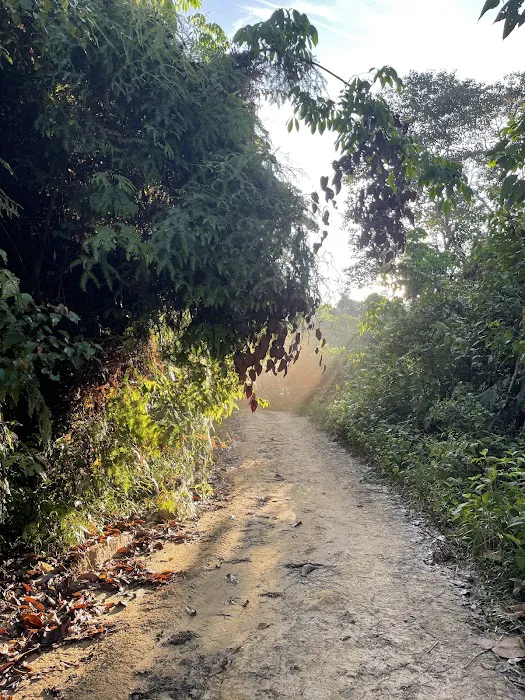 Kemensah Hiking Trailhead Picture 6