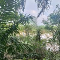 Kelip2 Retreat ico