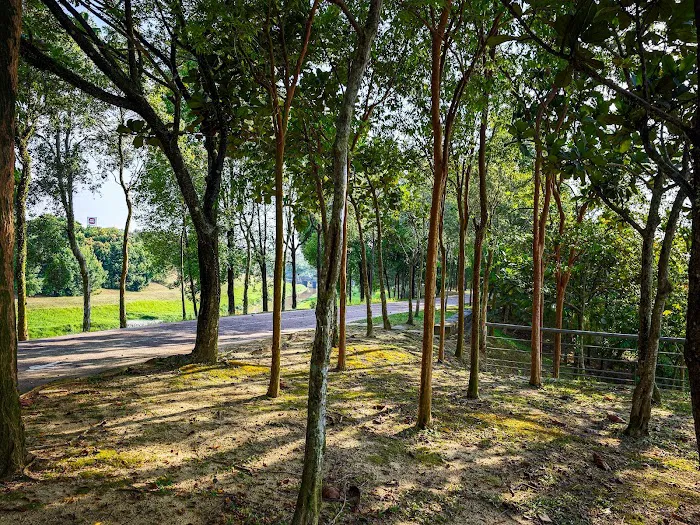 Elmina East Lake Park Picture 4
