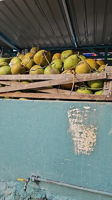 Coconut Junction Picture 4