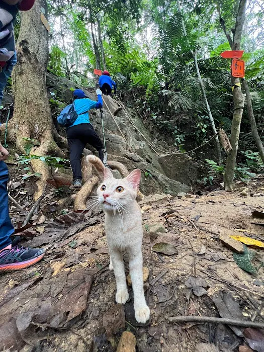Save Bukit Dinding Picture 2