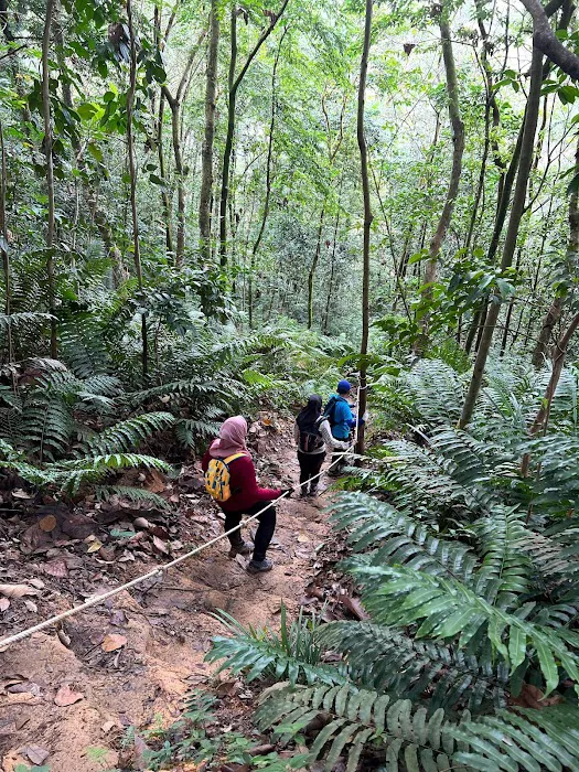 Save Bukit Dinding Picture 9