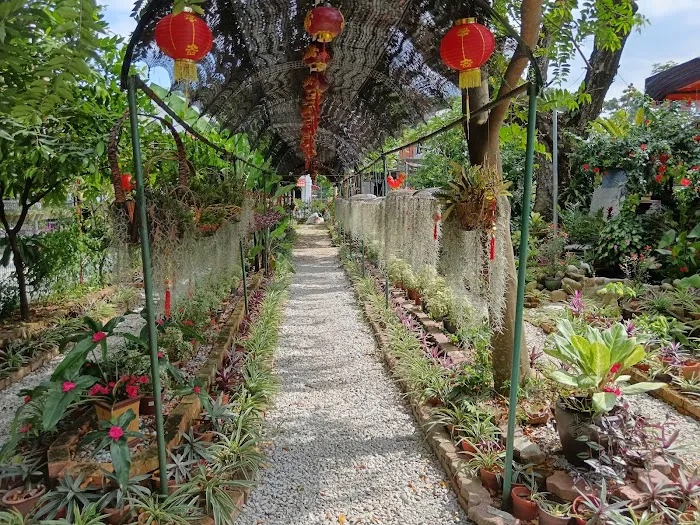 Ah Chai Ho Wellness Land Picture 4