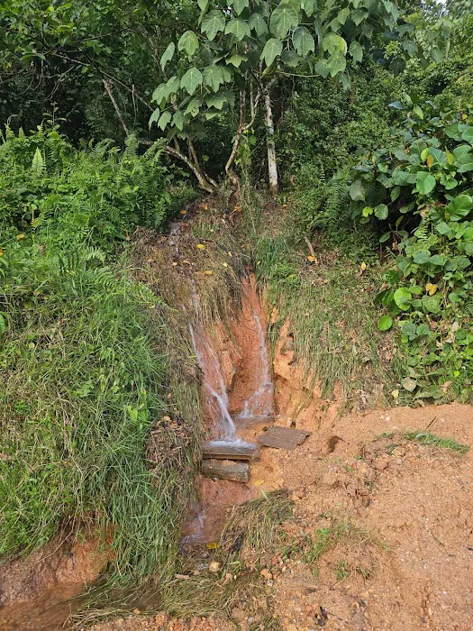 Monkey Waterfall Picture 1