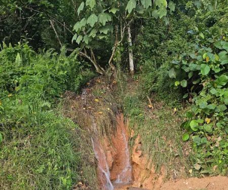 Monkey Waterfall