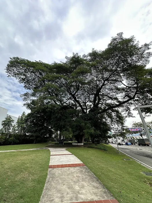 Laman Hijau Jalan Kuching Picture 5