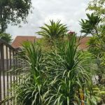 Park Taman Kundang Jaya