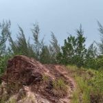 Kickapoo Hill - Hillpark Lookout Point