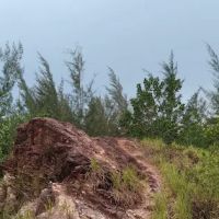 Kickapoo Hill - Hillpark Lookout Point ico