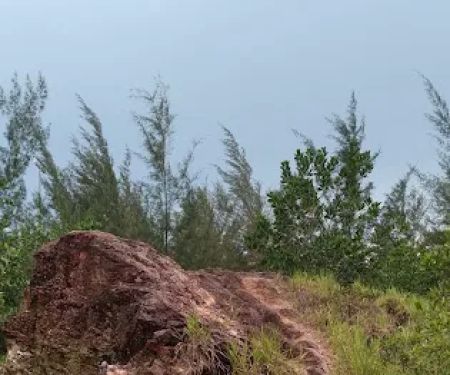 Kickapoo Hill - Hillpark Lookout Point