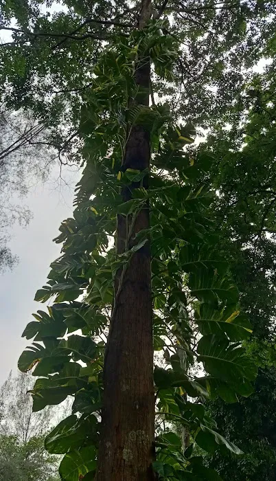 Taman Tasik Sri Gombak Picture 1